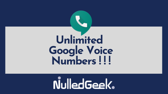 look up google voice number